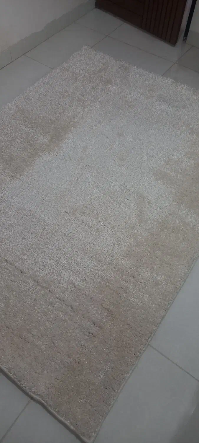 پالاز|موکت|مریوان, |دیوار