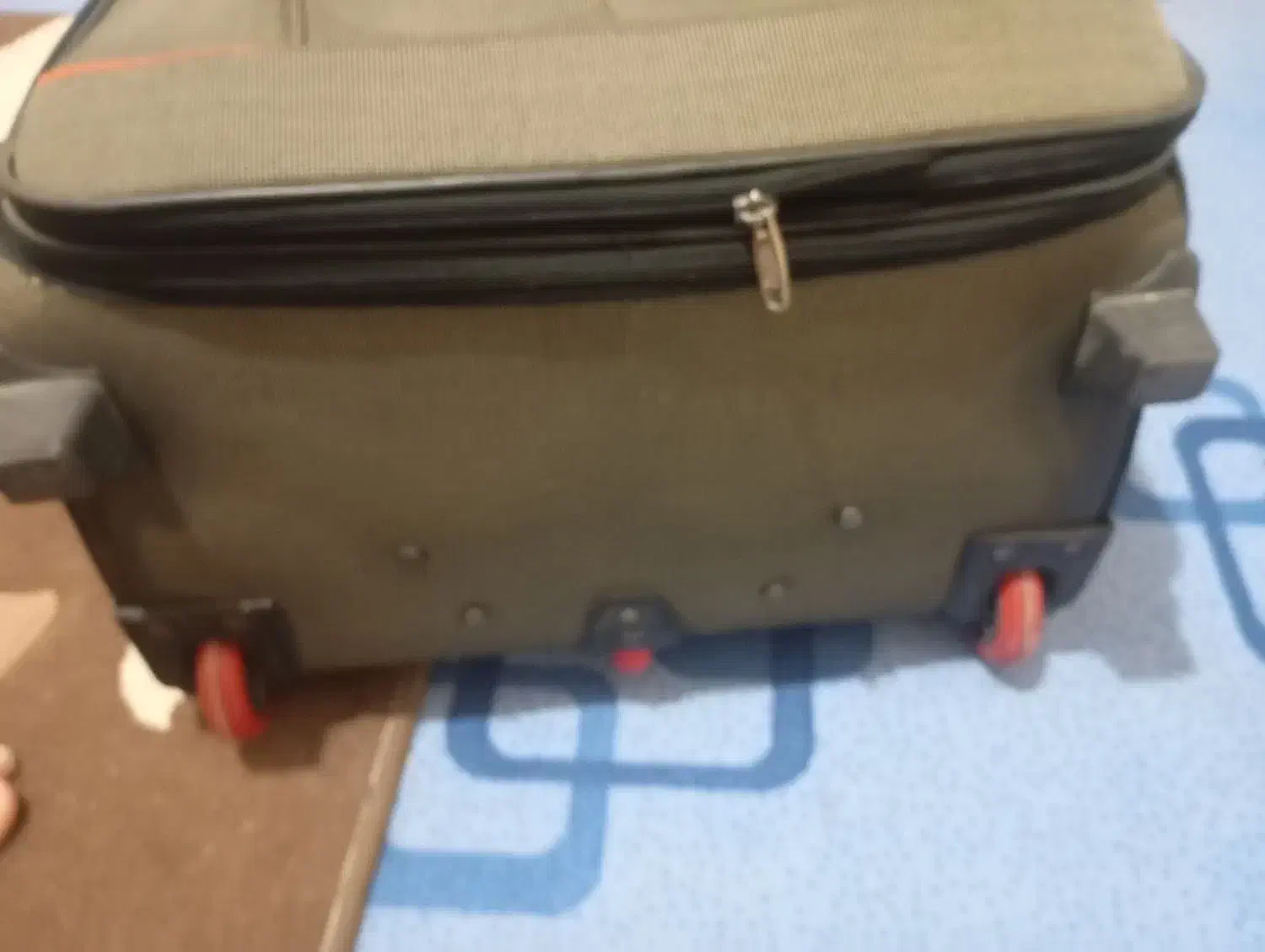 چمدان|کیف، کفش، کمربند|شیراز, کفترک|دیوار