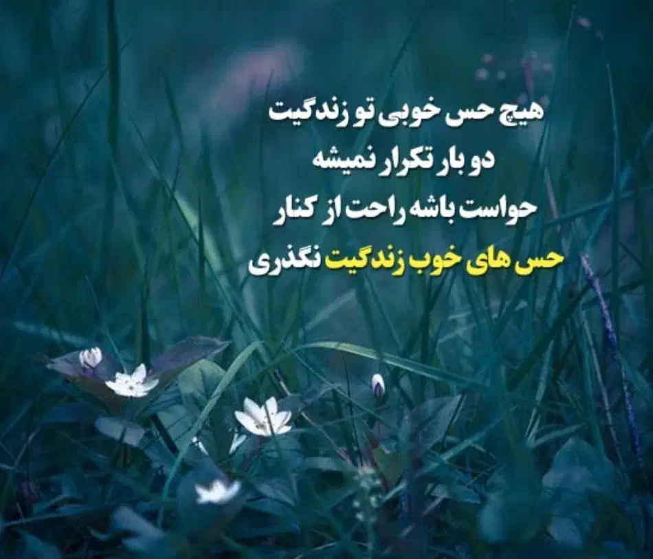 راهنمایی تغییر شرایط|فعالیت داوطلبانه|شیراز, باغ تخت|دیوار