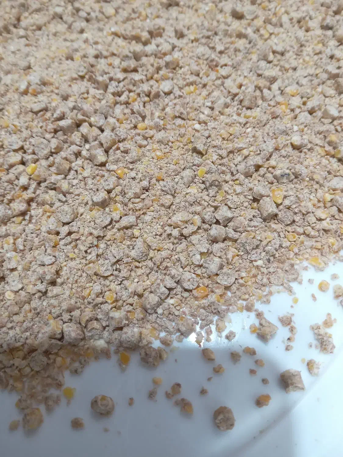 دان تخمگذاری گندم دیم بلدرچین|لوازم جانبی حیوانات|مشهد, شهرک امام هادی (شهرک غرب)|دیوار