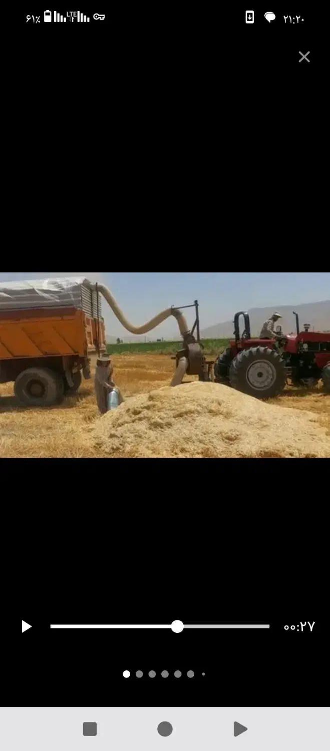 فروش کاه|لوازم جانبی حیوانات|دهگلان, |دیوار