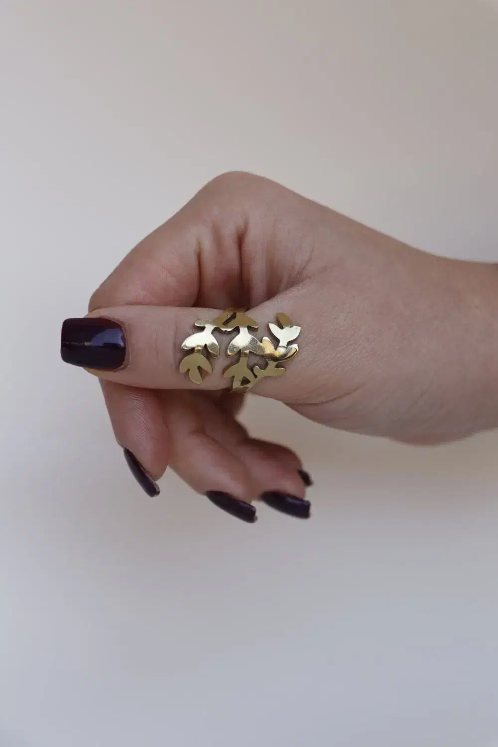 انگشتر|بدلیجات|شیراز, اصلاح‌نژاد|دیوار