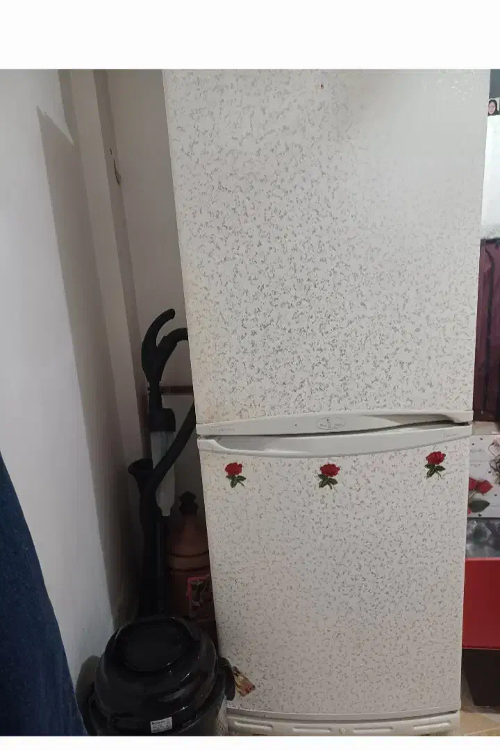 یخجال فریز|یخچال و فریزر|قائن, |دیوار