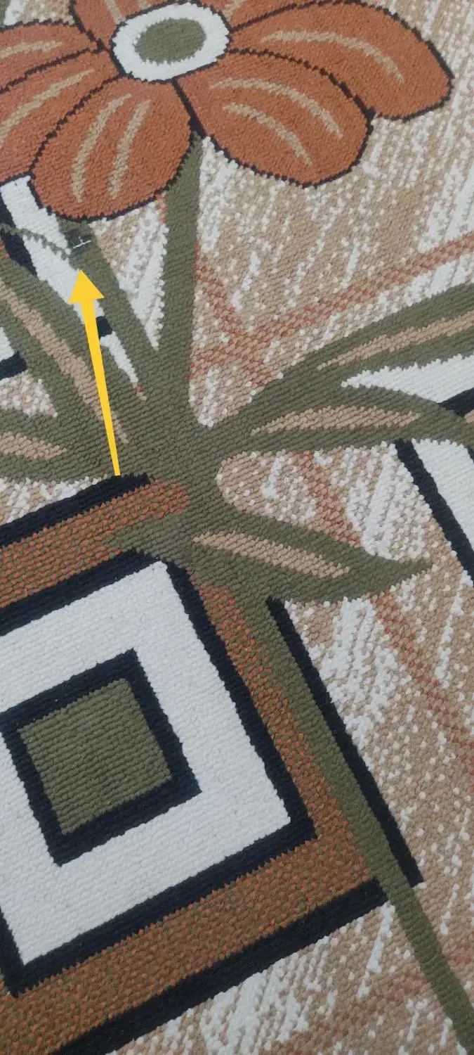 گلیم در حد نو|گلیم، جاجیم، گبه|اسفراین, |دیوار