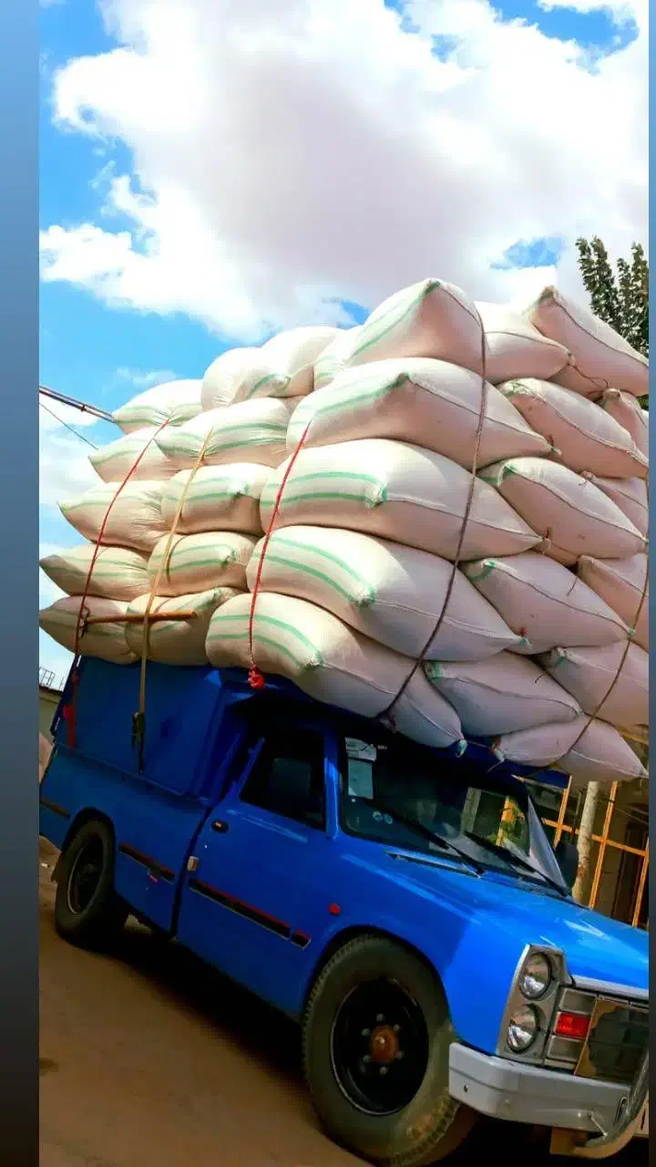 نیسان|خودرو سواری و وانت|قیدار, |دیوار