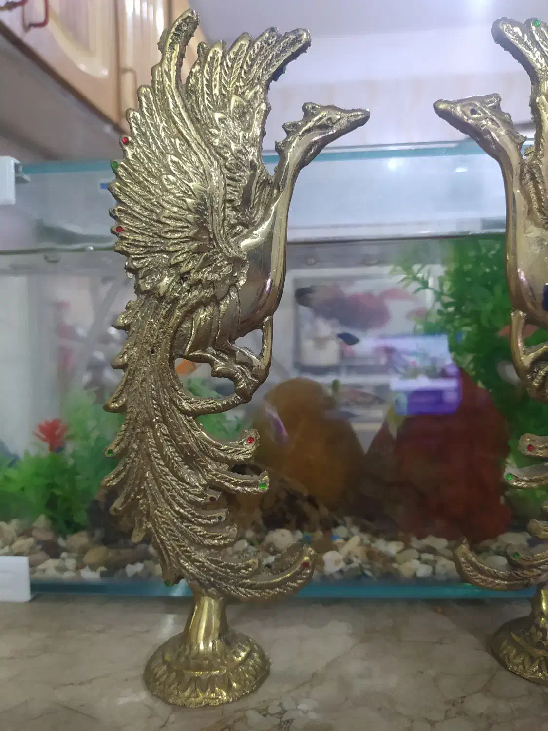 پرستو برنجی|مجسمه، تندیس، ماکت|سبزوار, شرق کال میانی|دیوار