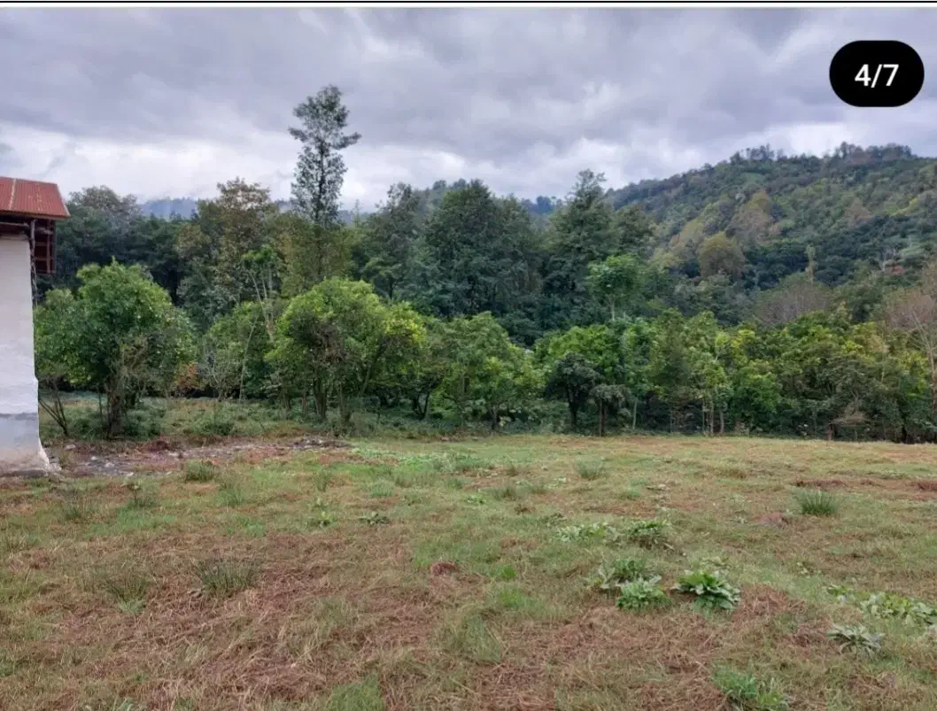 زمین کوهپایه در دل طبیعت|فروش زمین و ملک کلنگی|واجارگاه, |دیوار