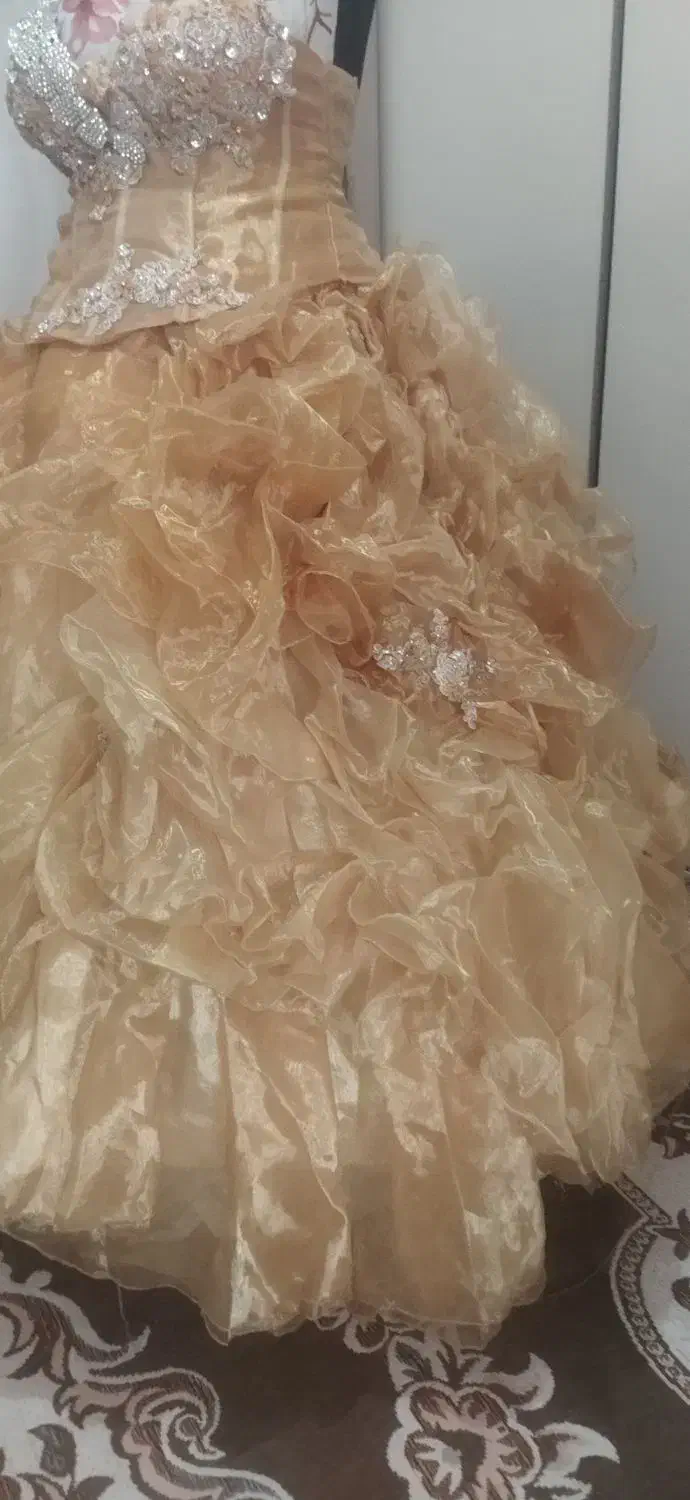 لباس مجلسی|لباس|سهند, |دیوار