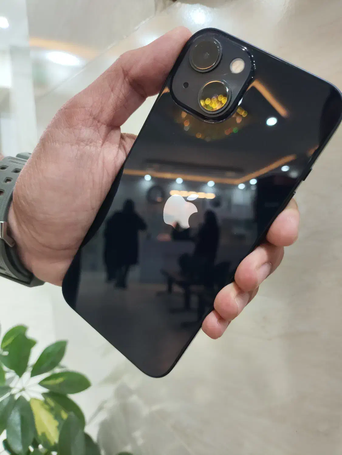 iPhone 13 normal ZAA|موبایل|تربت‌حیدریه, آبشار|دیوار