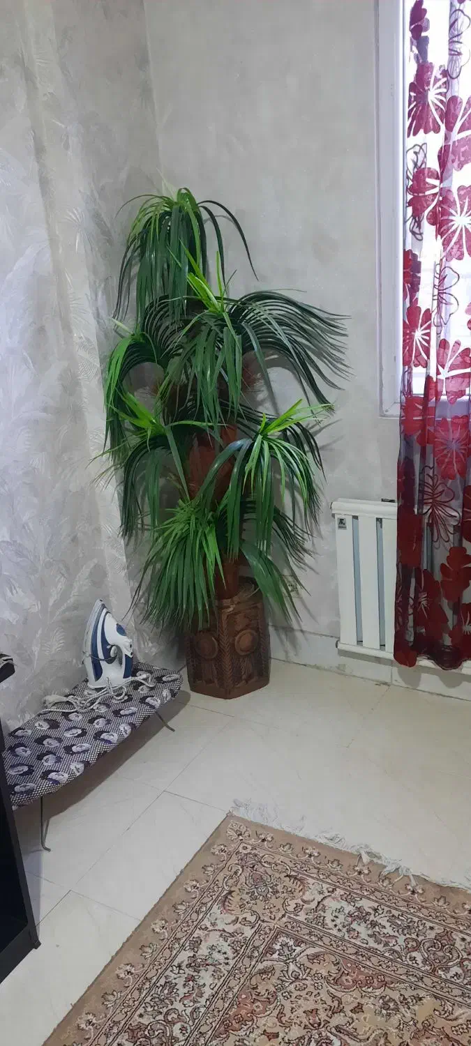 در حد نو و کارکرده|حراج|خاوران, |دیوار