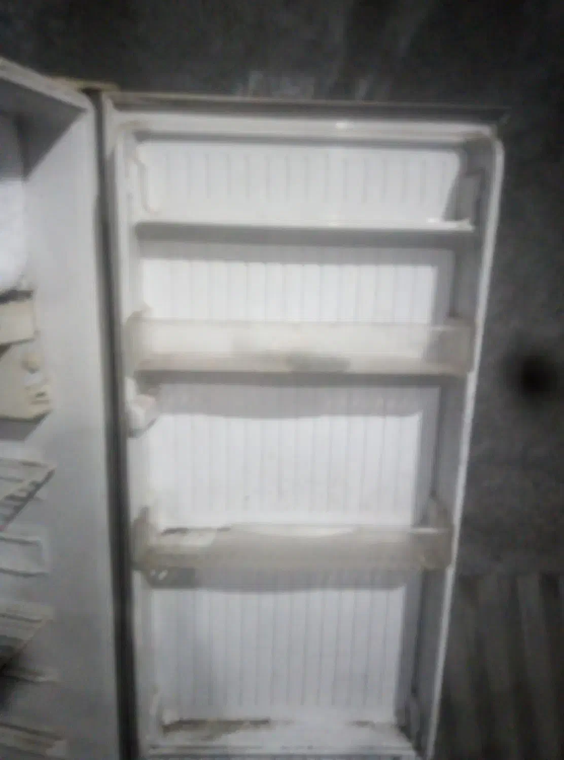 یخچال|یخچال و فریزر|بیرجند, |دیوار