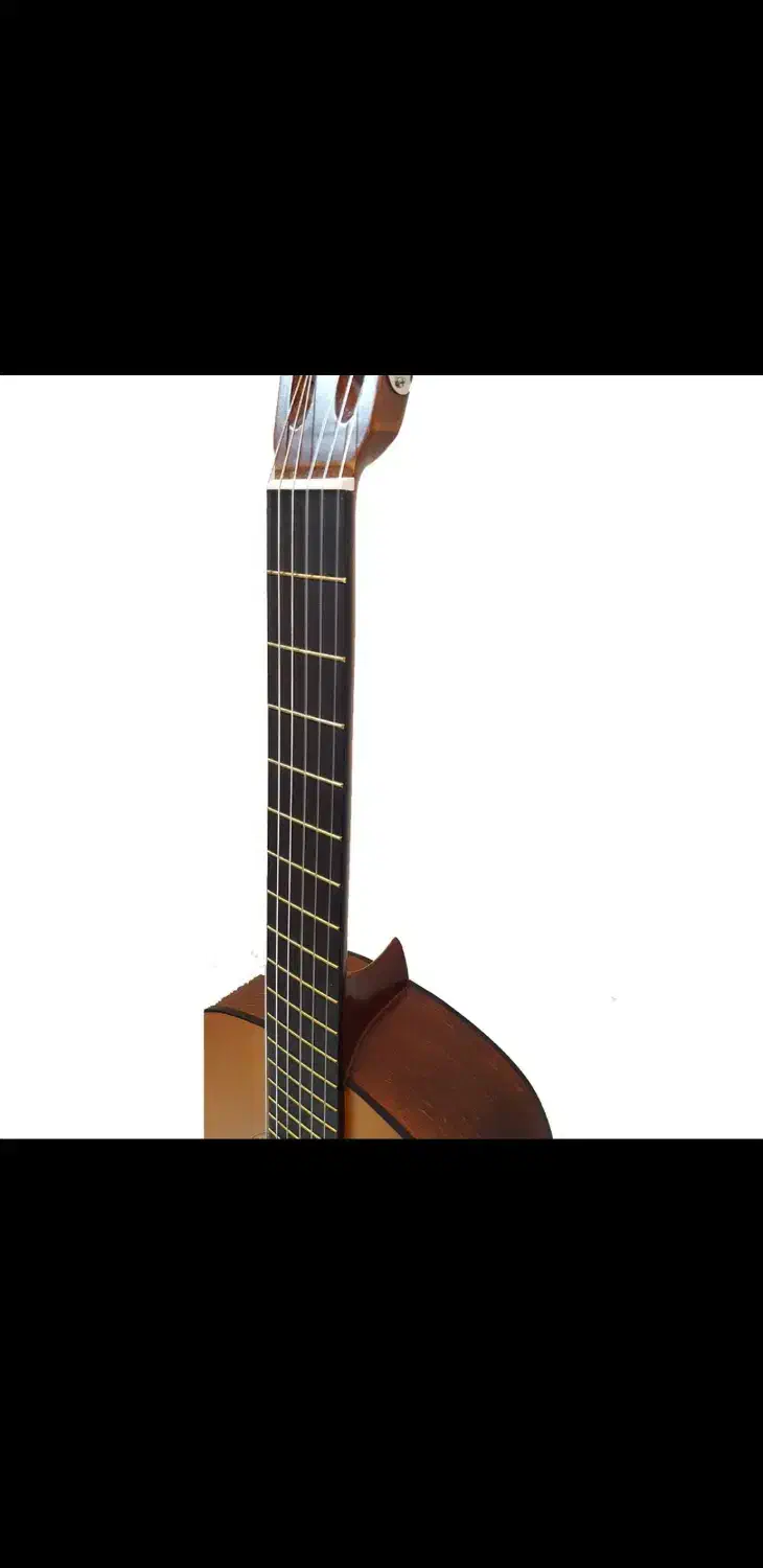 گیتار کلاسیک|گیتار، بیس، امپلیفایر|مراغه, |دیوار