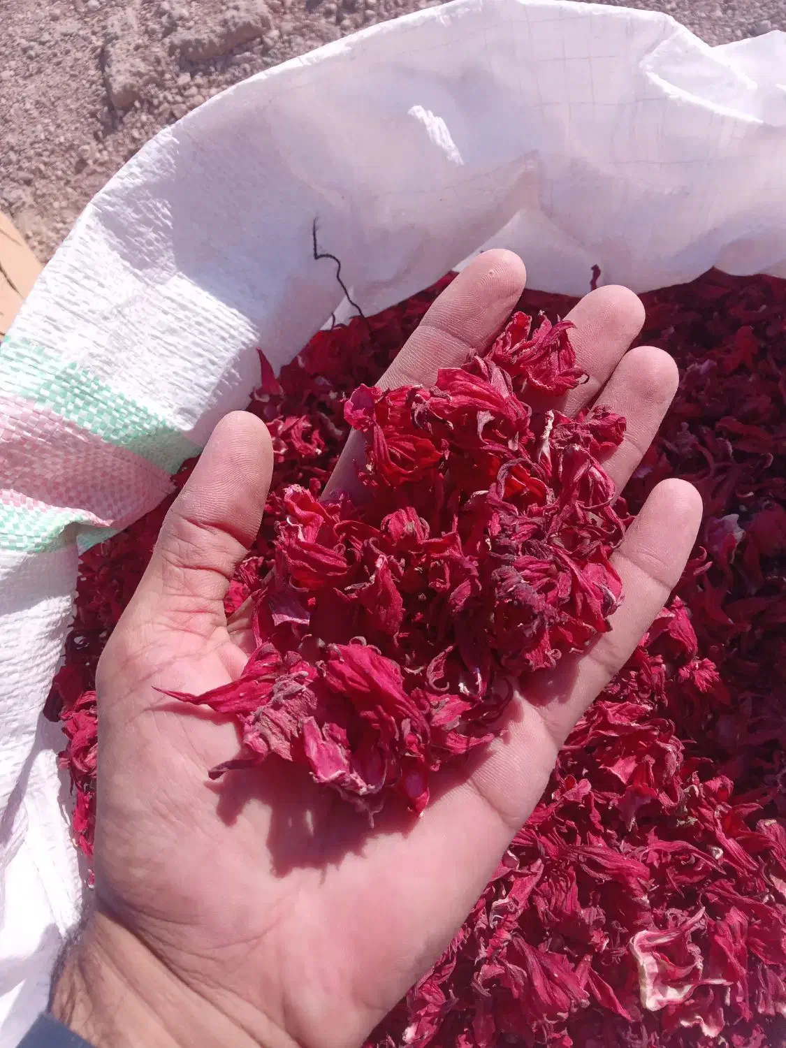 چای ترش دلگان|خوردنی و آشامیدنی|دلگان, |دیوار