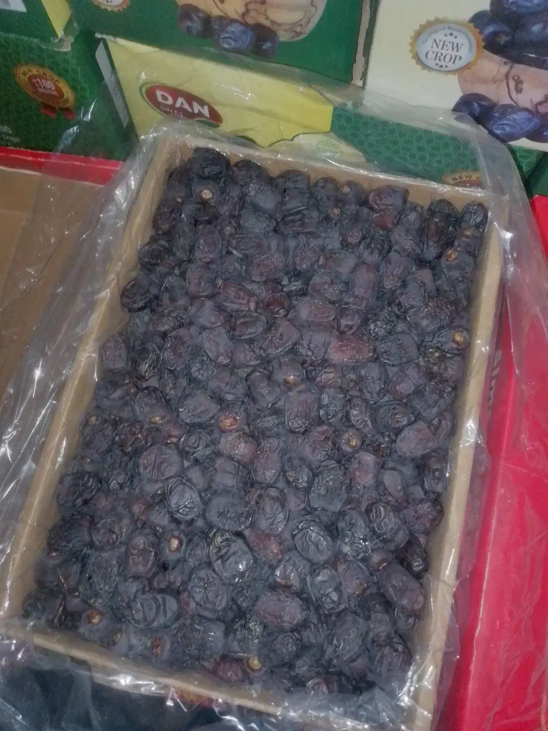 خرما مضافتی درجه یک|حراج|بیرک, |دیوار