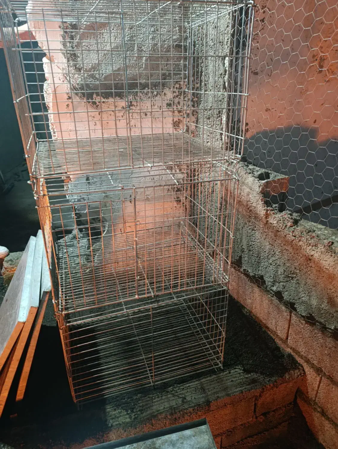 قفس پرنده|لوازم جانبی حیوانات|آستانه اشرفیه, |دیوار