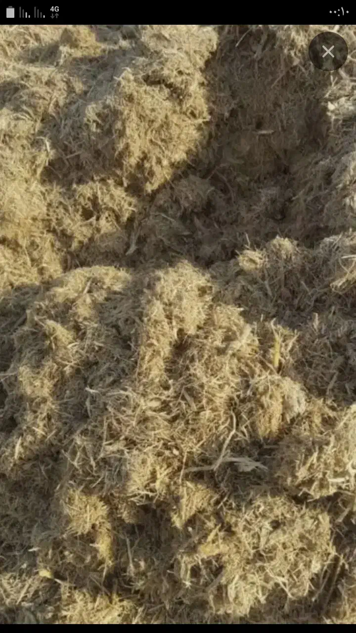 کاه نیشکر.جایگزین کاه سفید.باقیمت مناسب|لوازم جانبی حیوانات|داران, |دیوار
