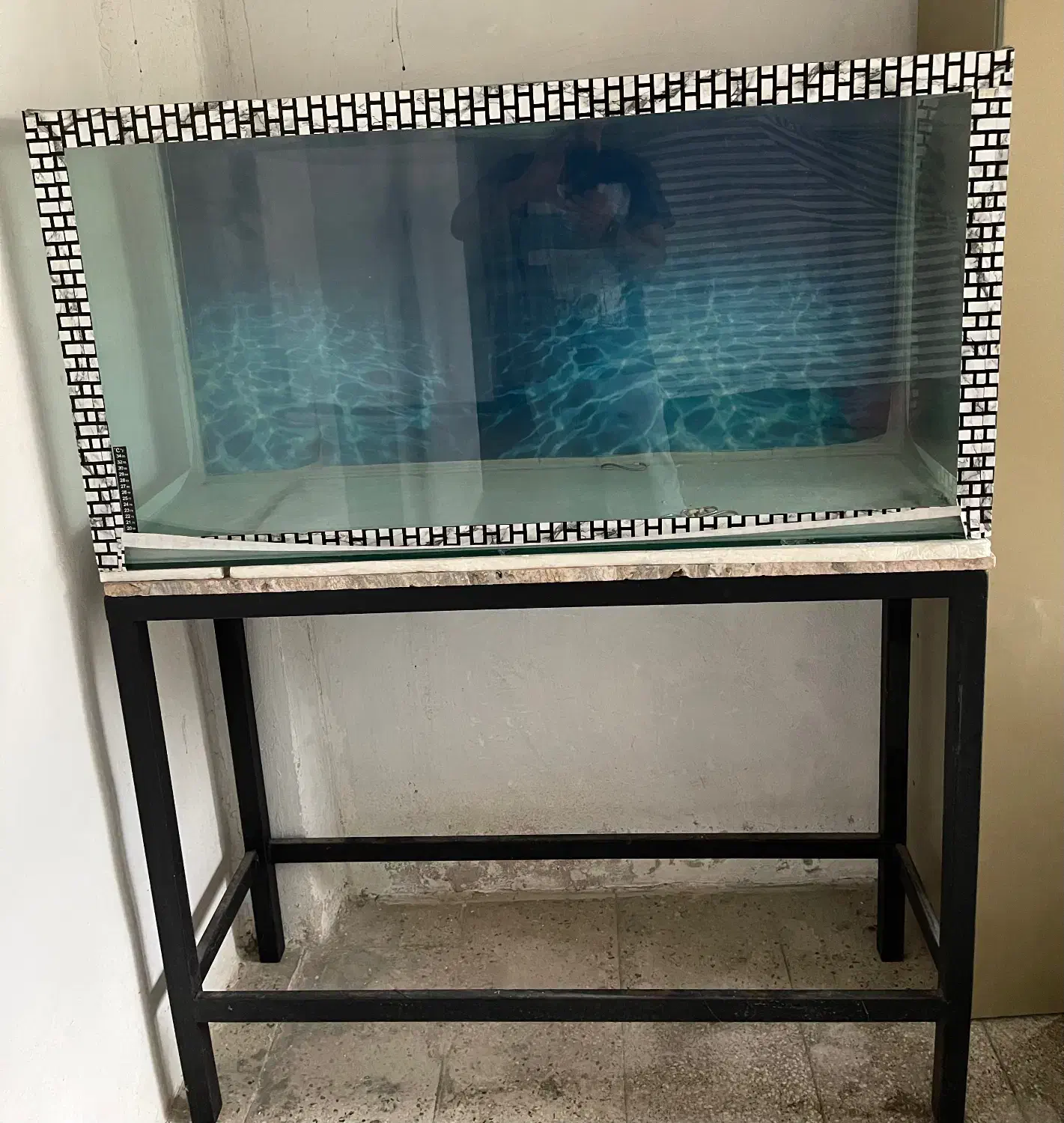 آکواریوم|ماهی|سرخرود, |دیوار