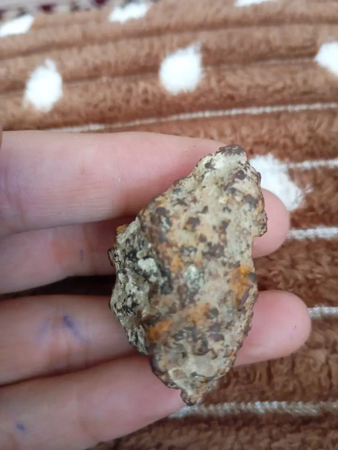 معاوضه با ماشین مشکوک|کلکسیون اشیاء عتیقه|هشترود, |دیوار