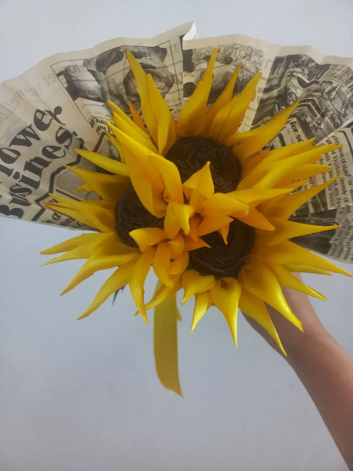 گل ربانی|گل و گیاه طبیعی|نیشابور, مازول|دیوار