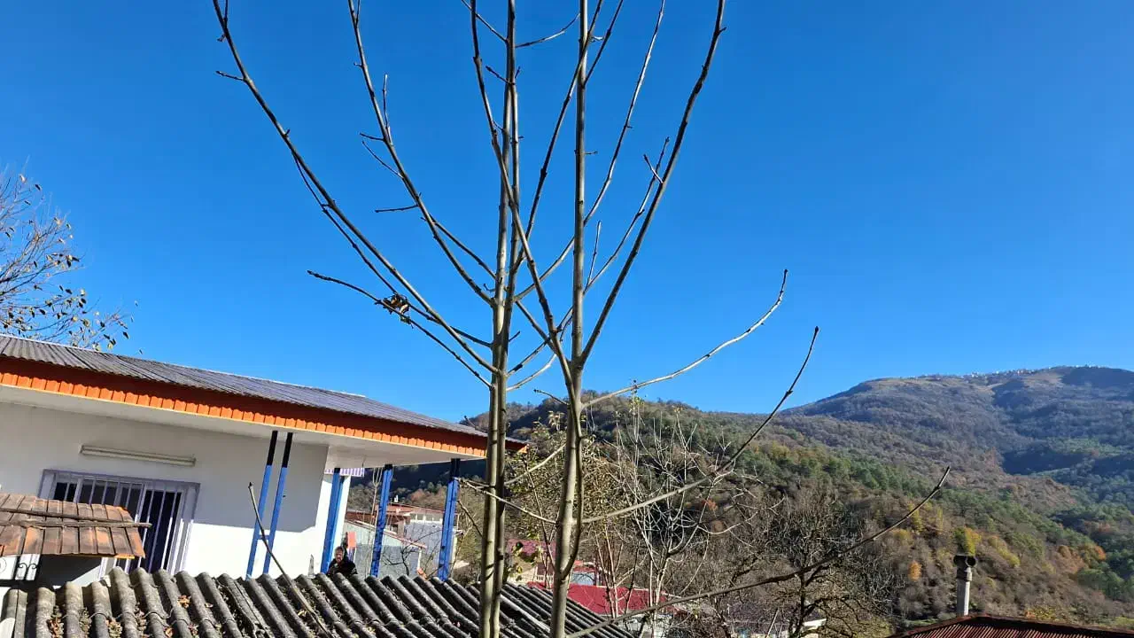 فروش ویلا در بهترین نقطه سنگچال چلاو|فروش خانه و ویلا|گلوگاه بابل (گلیا), |دیوار