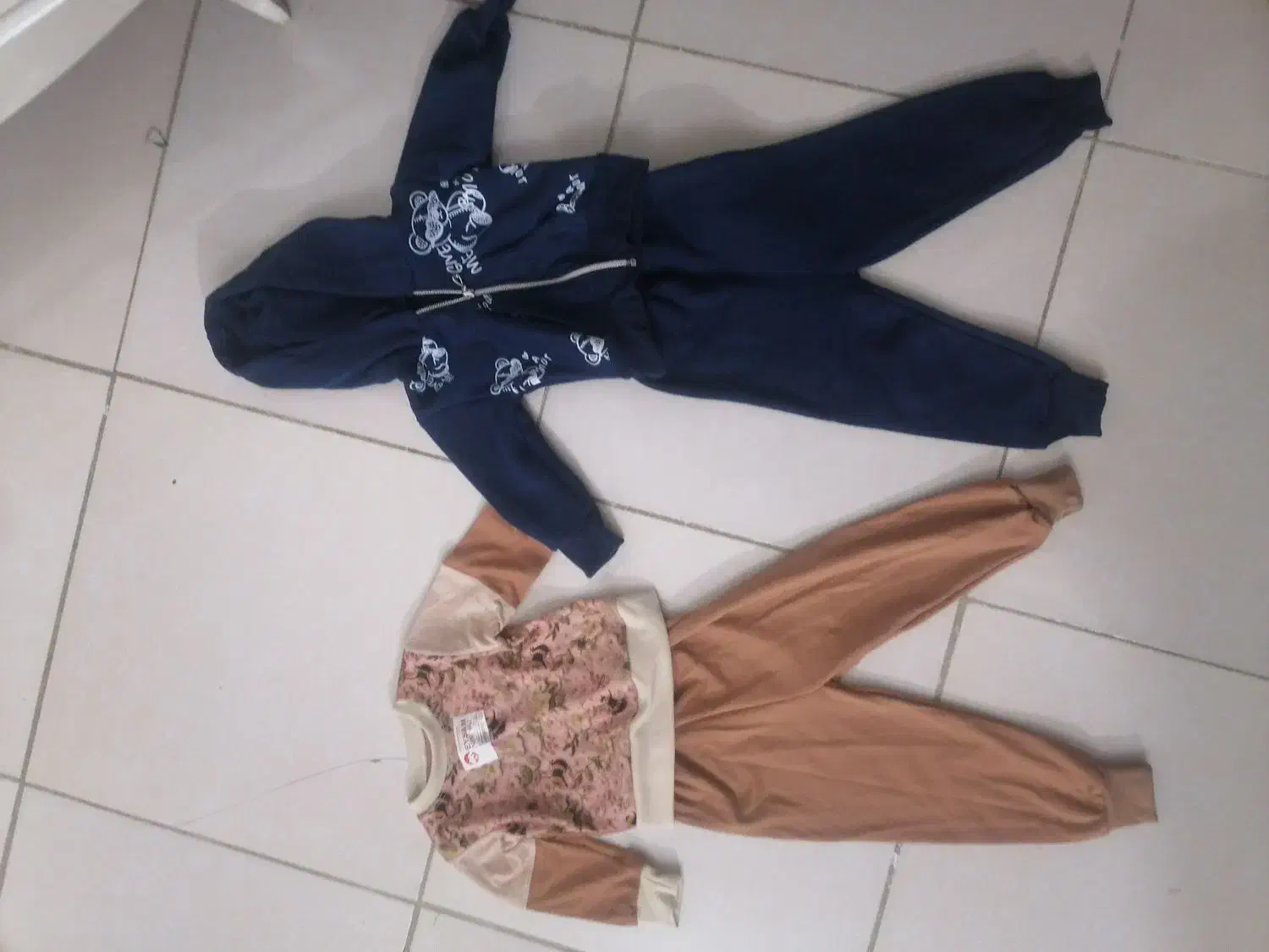 کفتر|پرنده|مشهد, وکیل‌آباد|دیوار