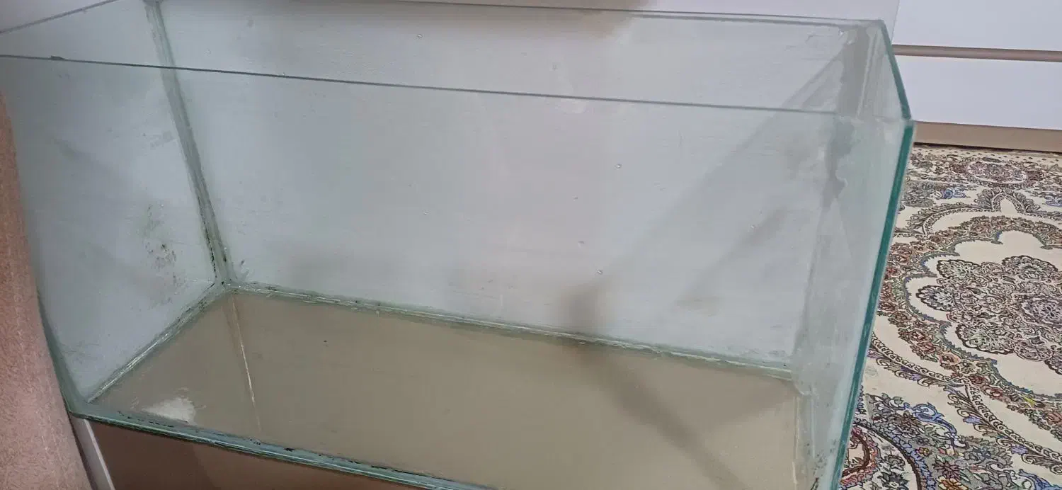 یک عدد آکواریوم سالم به همراه وسایل|ماهی|تربت‌حیدریه, رضاشهر|دیوار