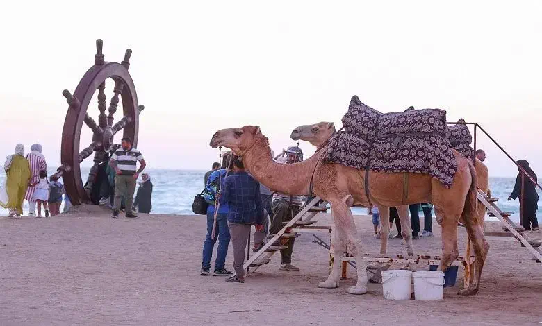 گشت جزیره زیبای کیش با خودرو شخصی|تور و چارتر|کیش, |دیوار