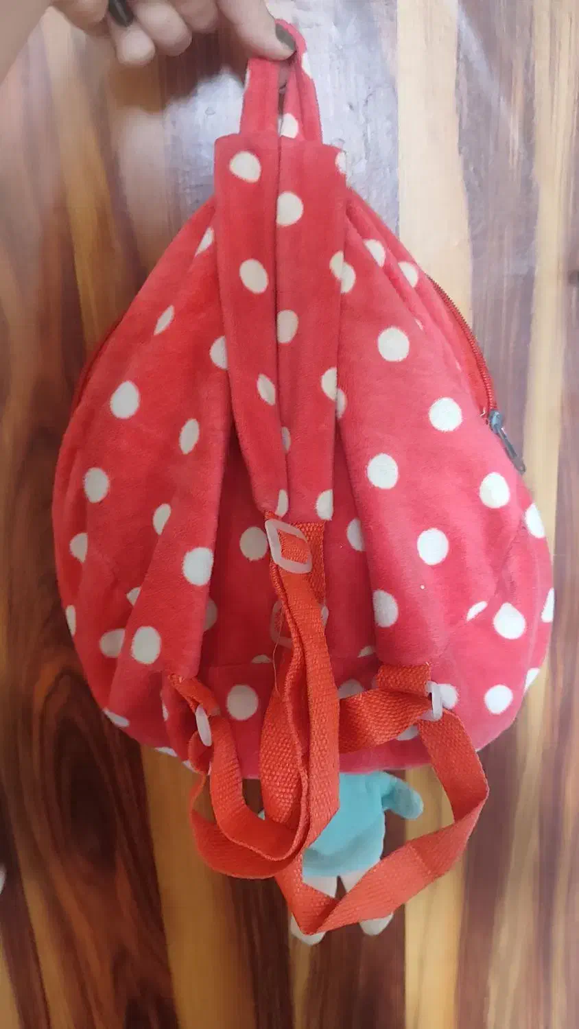 کیف|کیف، کفش، کمربند|گرگان, |دیوار