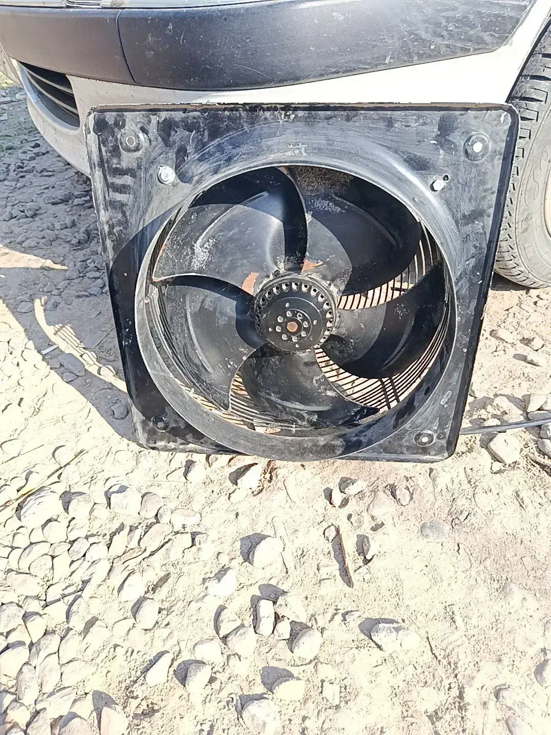 هواکش مرغداری|پنکه و تصفیه‌کنندهٔ هوا|آق قلا, |دیوار