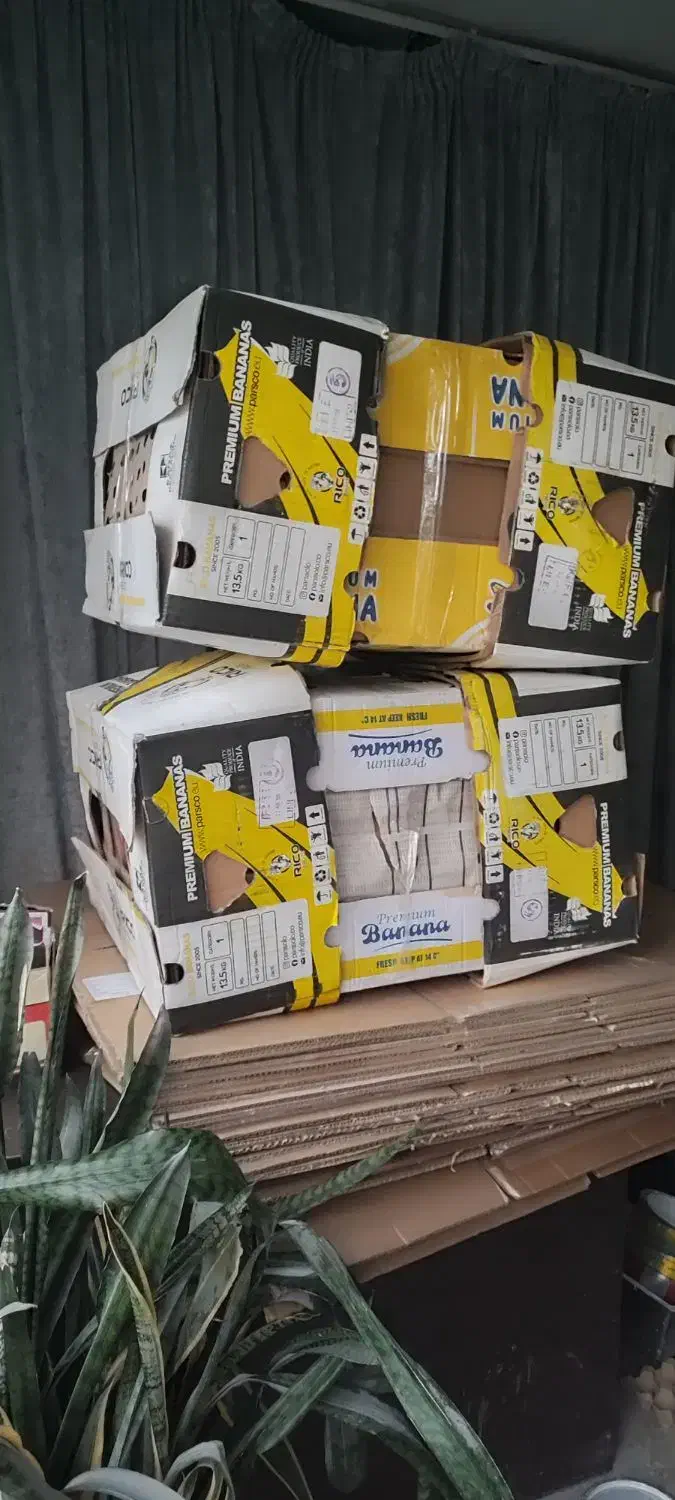 کارتن|عمده‌فروشی|مشکین‌دشت, |دیوار