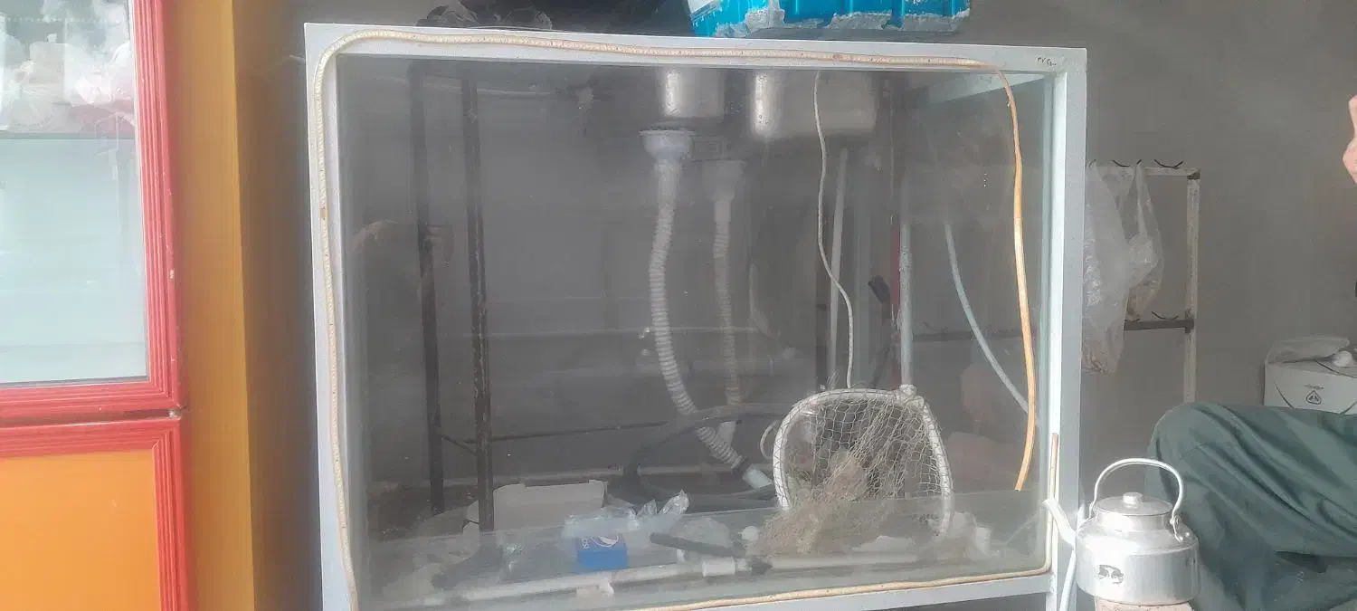 فروش آکواریوم کباب ماهی|فروشگاه و مغازه|مریوان, |دیوار