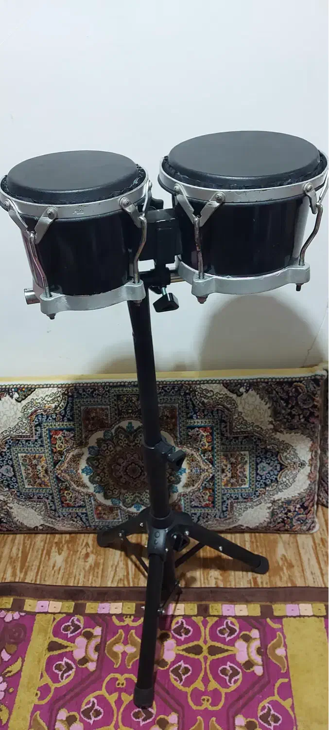 بینگوبانگو|درام و پرکاشن|ساری, |دیوار