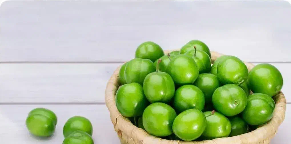 پیشفروش نهال گوجه سبز|خدمات باغبانی و درختکاری|لاران, |دیوار