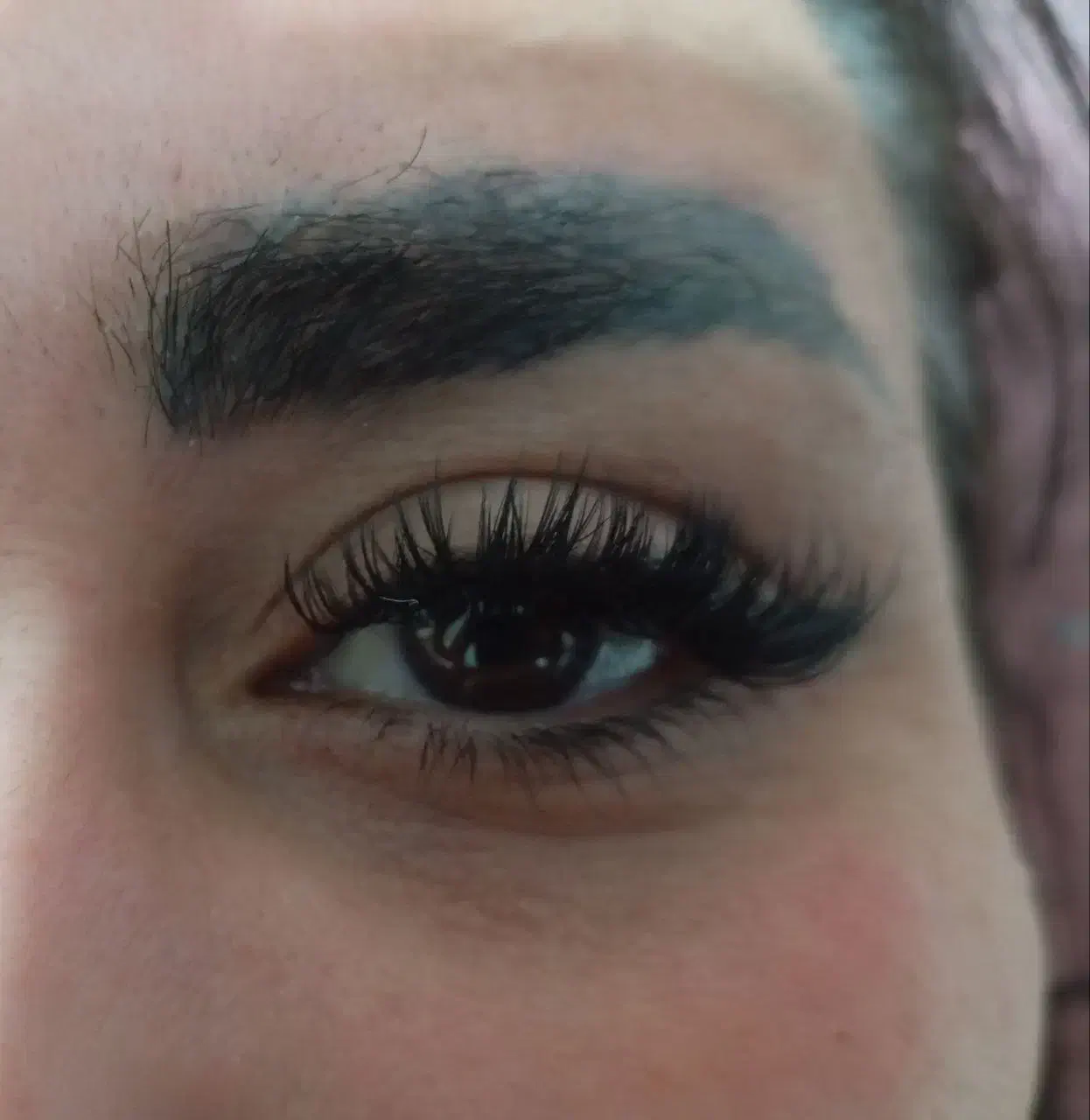 کاشت مژه|خدمات آرایشگری و زیبایی|طرقبه, |دیوار