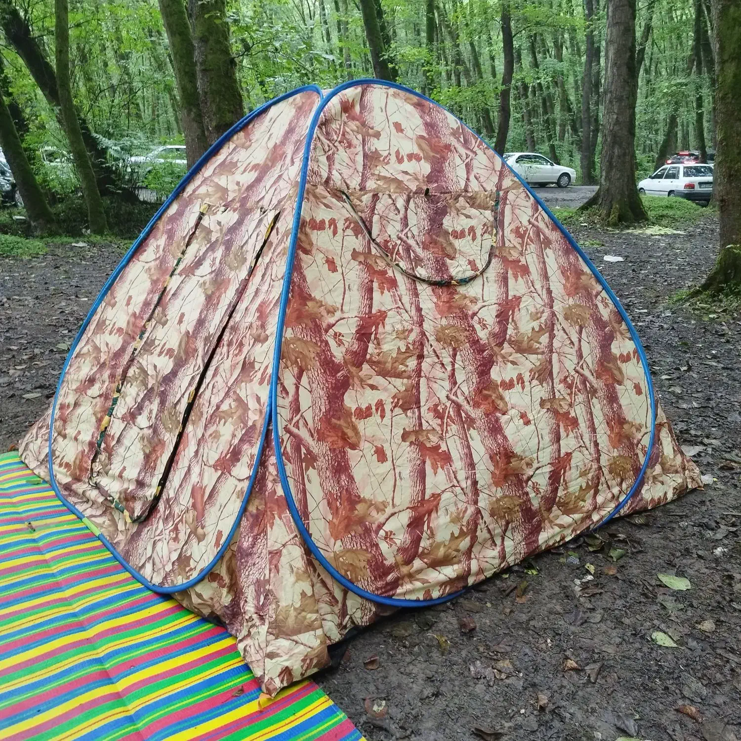 چادر مسافرتی ۱۲ نفره با طرح زیبای پائیزی|کوهنوردی و کمپینگ|فردیس, فرامرزیه|دیوار