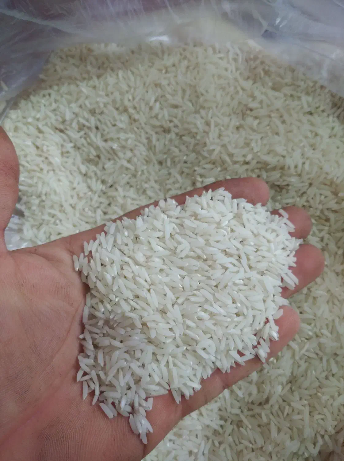 برنج هاشمی‌اعلا|خوردنی و آشامیدنی|کلاچای, |دیوار