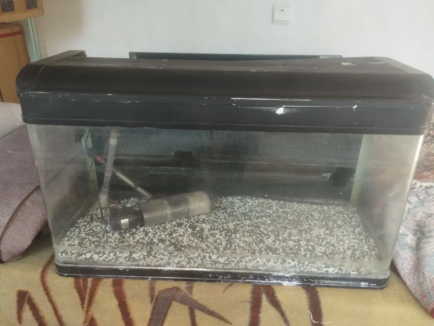 اکواریوم|ماهی|اشتهارد, |دیوار