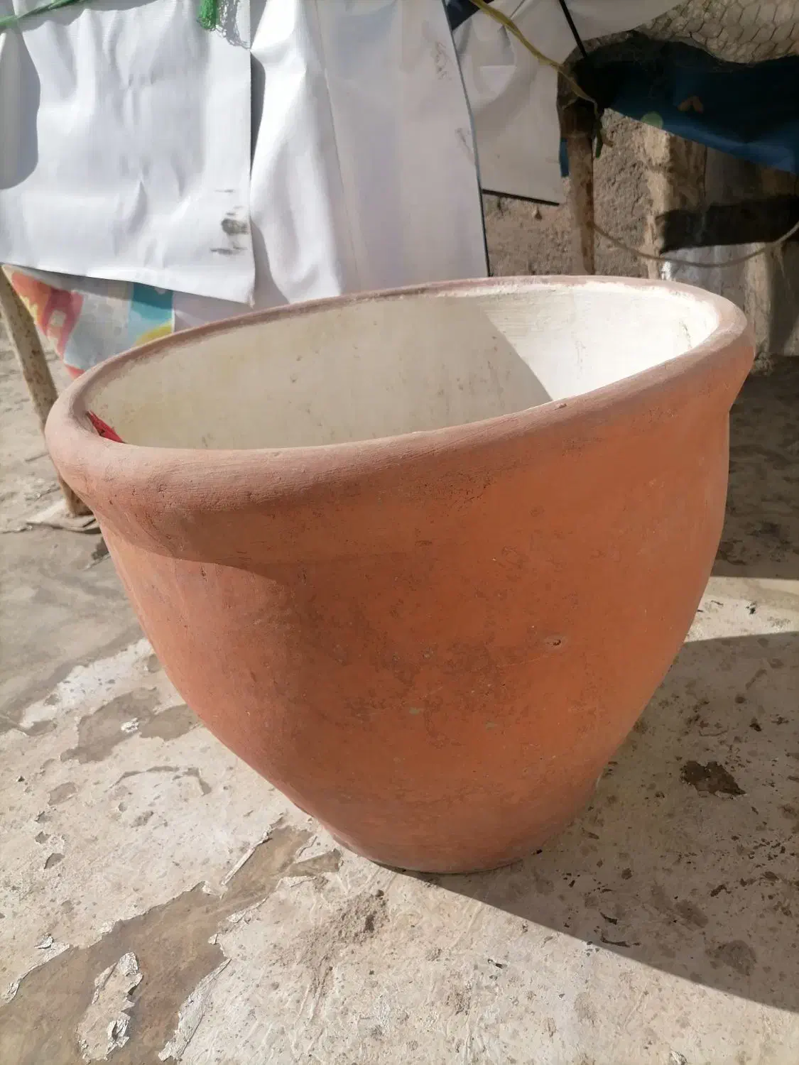 گلدان بزرگ سفالی|گل و گیاه طبیعی|بیرجند, |دیوار