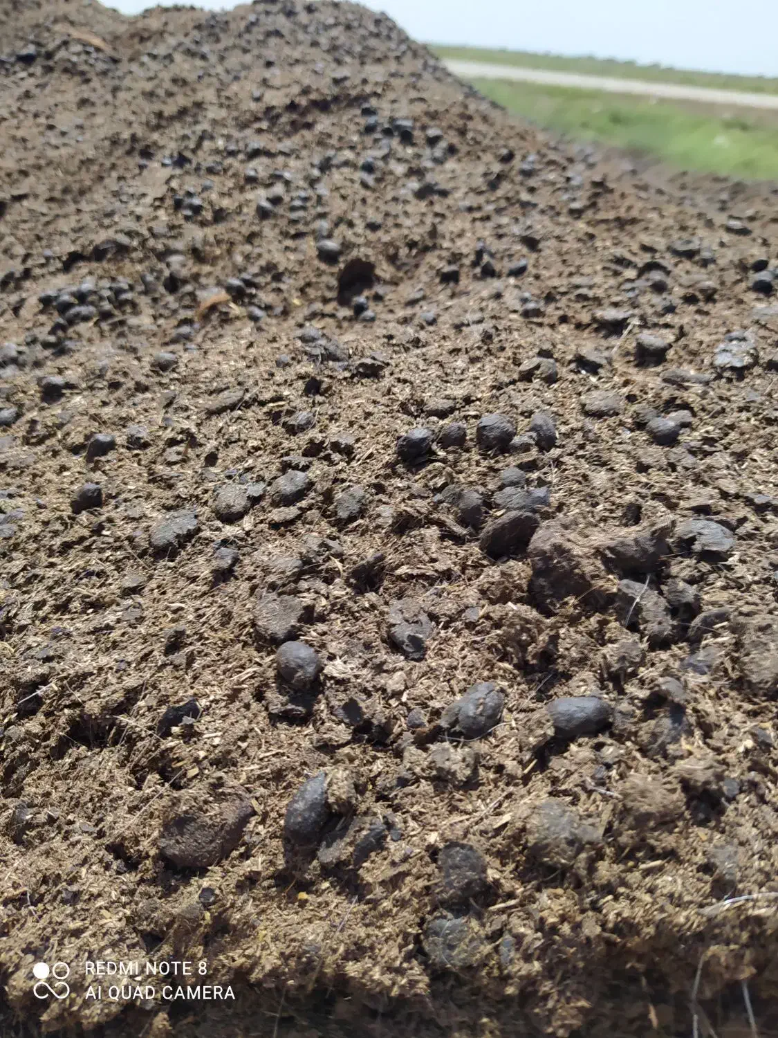 پوش گوسفندی|خدمات باغبانی و درختکاری|بابل, |دیوار