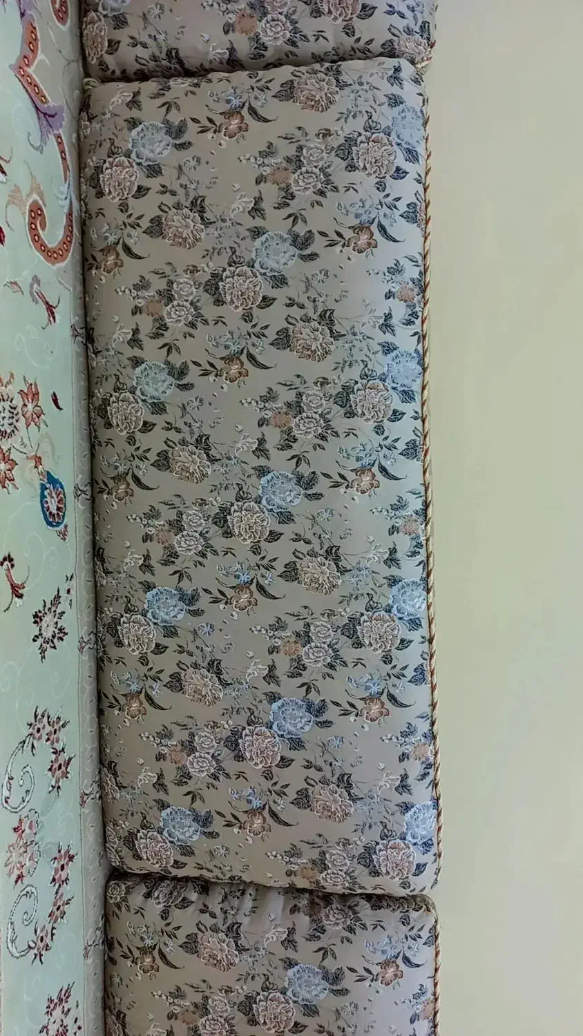 پشتی|پشتی|سوسنگرد, |دیوار