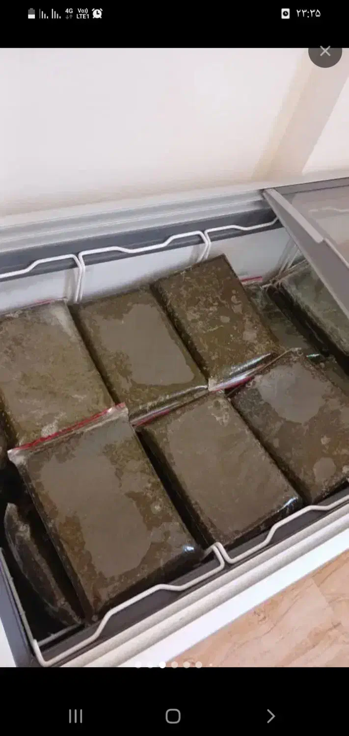 سبزی خورشتی رامهرمز|خوردنی و آشامیدنی|شاهین‌شهر, فردوسی|دیوار