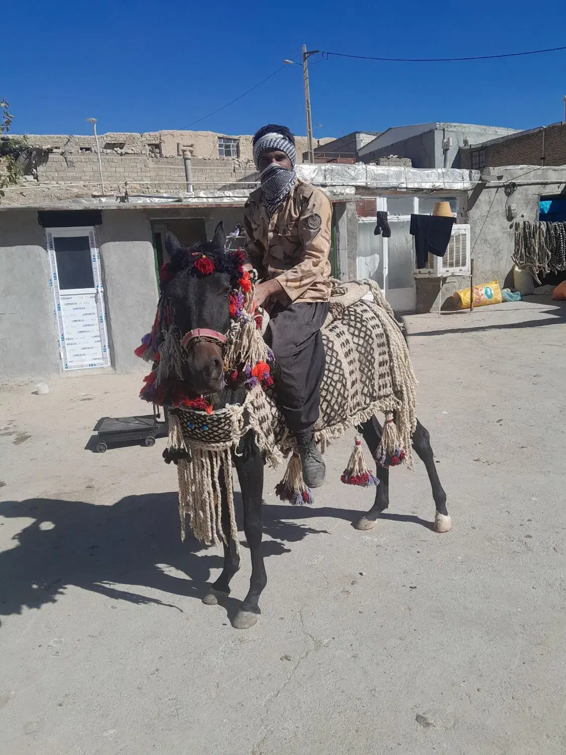 جل وکله گیر اسب|اسب و تجهیزات اسبسواری|ماهیدشت, |دیوار