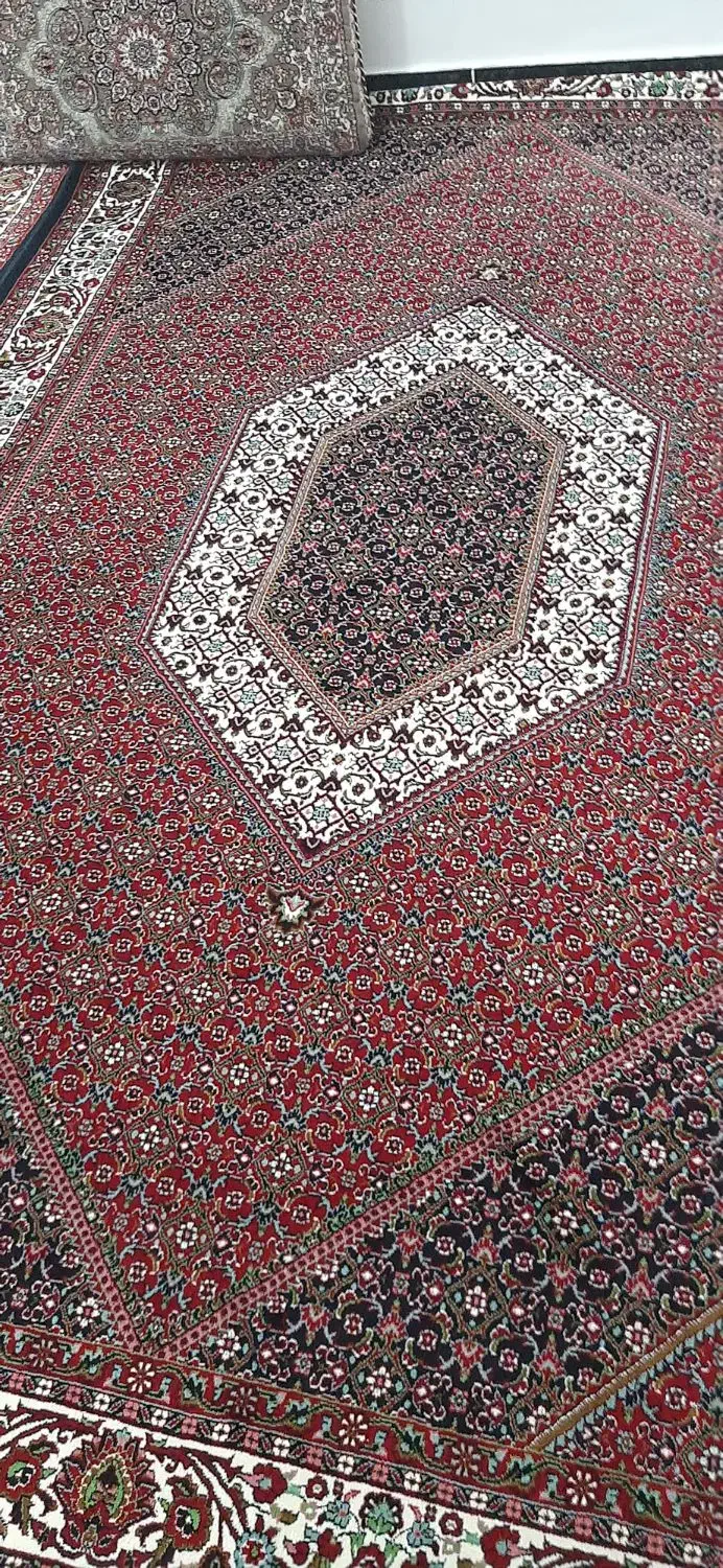 دو عدد قالی ۲در۳ سالم|فرش|دهگلان, |دیوار