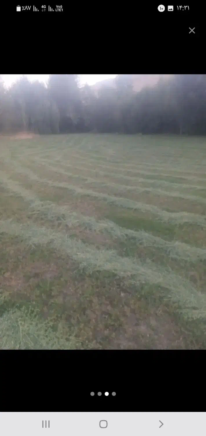 یونجه به شرط|لوازم جانبی حیوانات|کوهرنگ, |دیوار