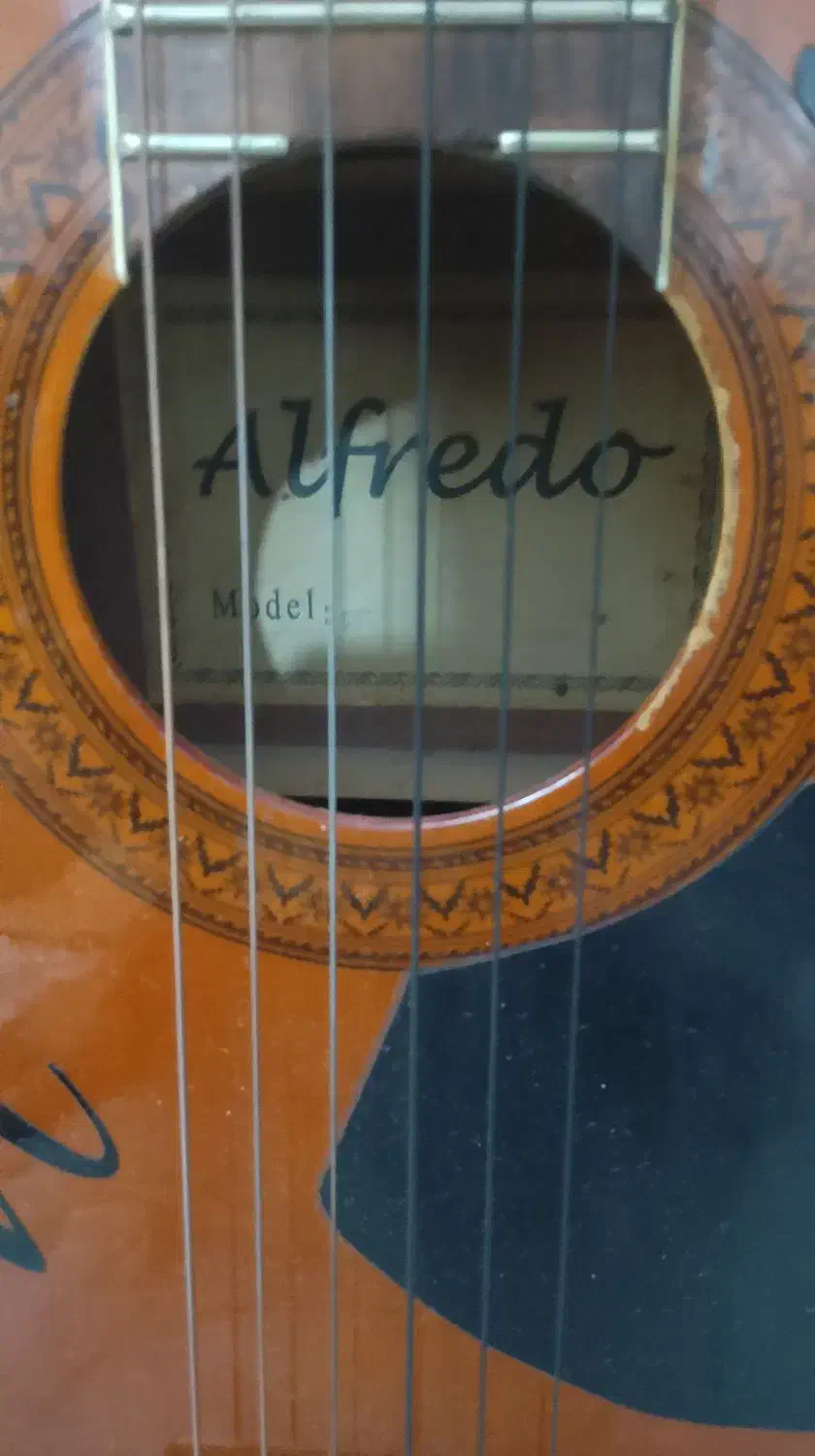 گیتار آلفردو خوش صدا مناسب ملودی|گیتار، بیس، امپلیفایر|جوادآباد, |دیوار