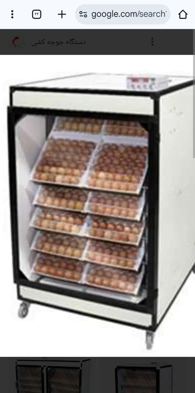 فروش قفس پرندگان و دستگاه جوجه کشی دست دوم|لوازم جانبی حیوانات|کرج, مهرویلا شمالی|دیوار