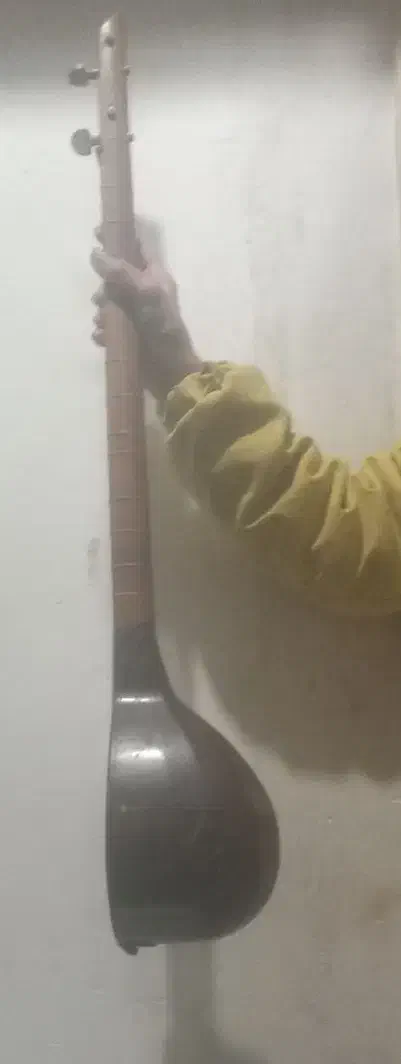 سه تار|سازهای سنتی|مشهد, کشف|دیوار