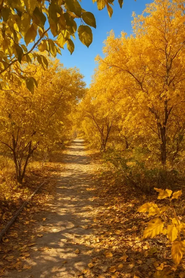 اجاره کوتاه مدت و  روزانه اتاق  با ویو باغ انار|اجارهٔ کوتاه‌مدت ویلا و باغ|قم, پردیسان|دیوار