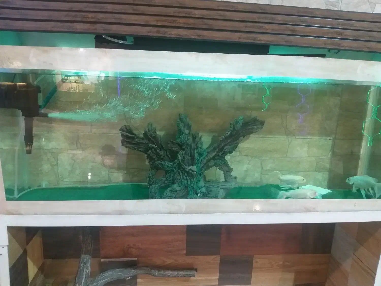 آکواریوم همراه ماهی باتمام لوازم و پایه متحرک|ماهی|گلبهار, شهر جدید گلبهار|دیوار