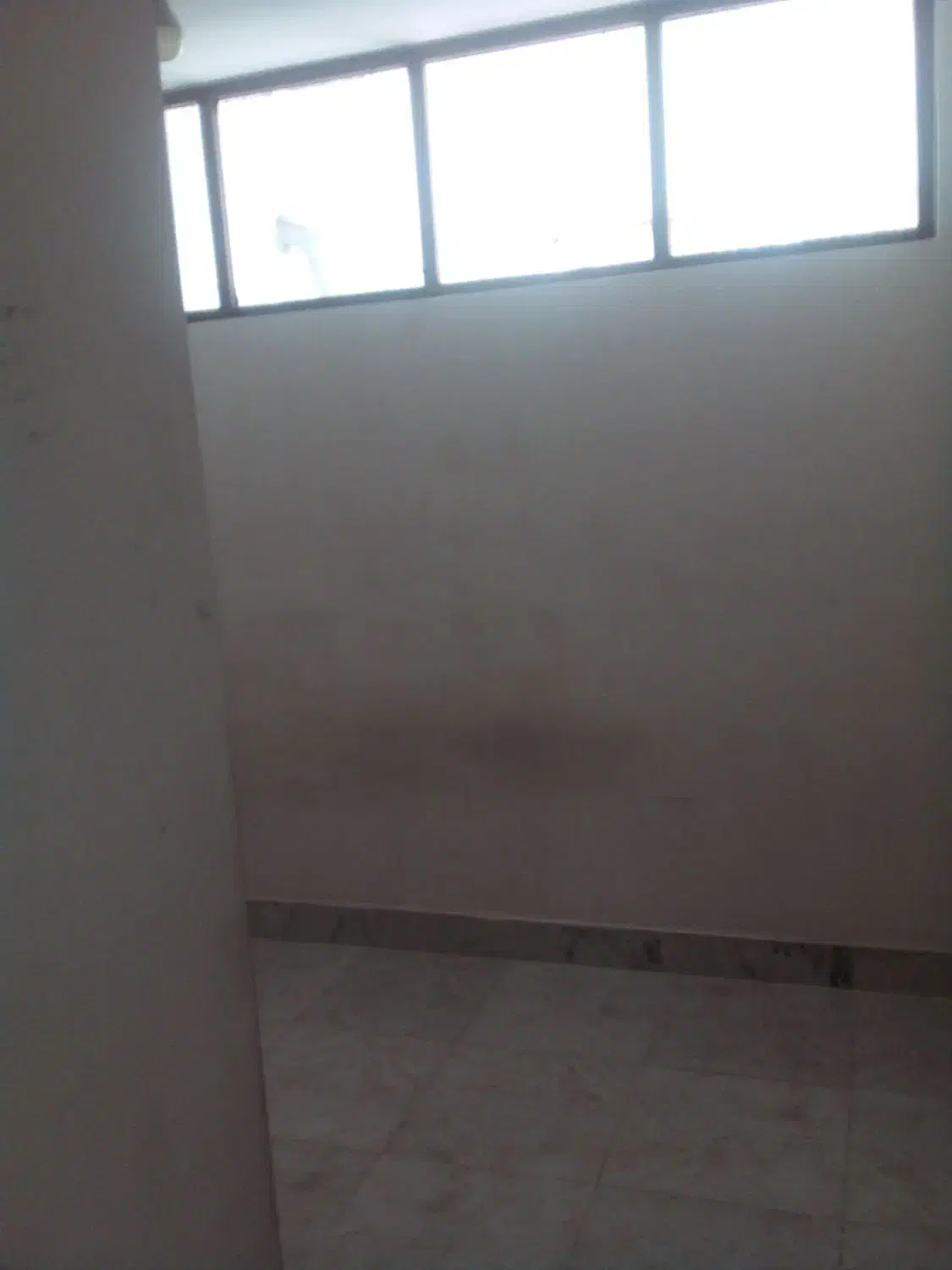 رهن و اجاره|اجارهٔ آپارتمان|شاهین‌شهر, شهرک ردانی پور|دیوار